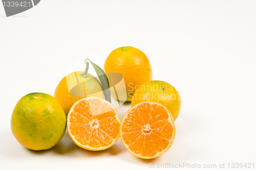 Image of Tangerines