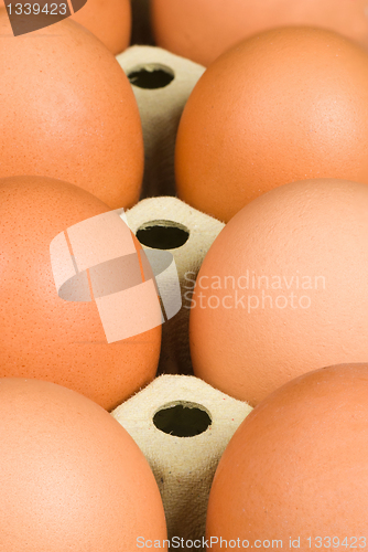 Image of Eggs