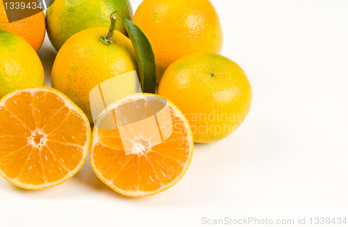 Image of Tangerines