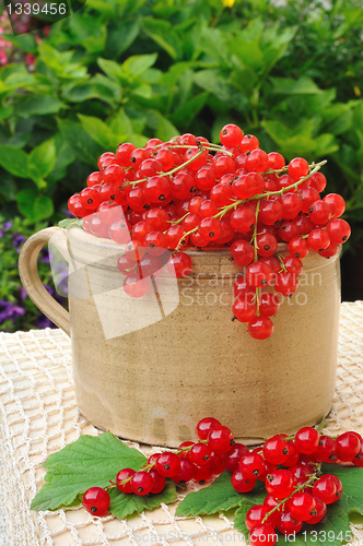 Image of Ceramic cup full of fresh red currant berries