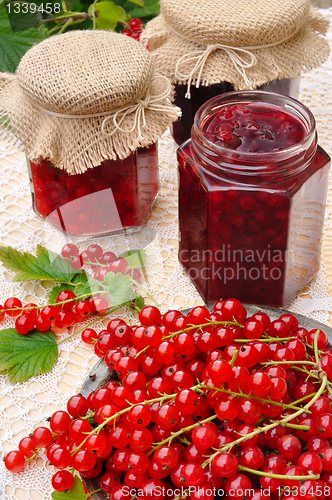 Image of Jars of homemade red currant jam with fresh fruits