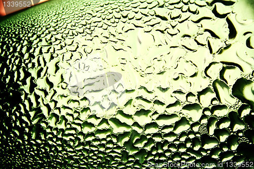 Image of Green drops of water - light from backside. Macro