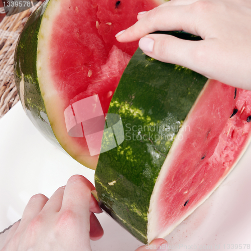 Image of Watermelon