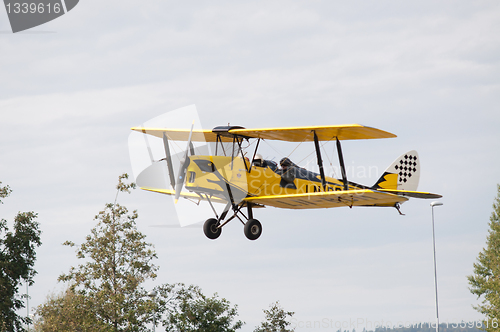 Image of Tiger Moth