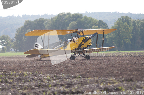 Image of Tiger Moth