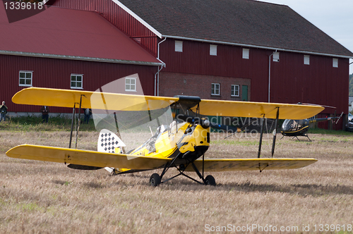 Image of Tiger Moth