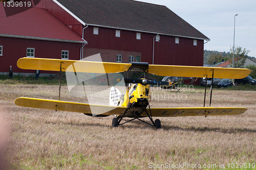 Image of Tiger Moth