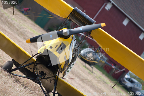 Image of Tiger Moth