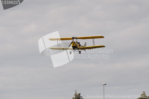 Image of Tiger Moth