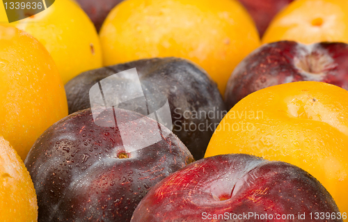 Image of Assorted plums