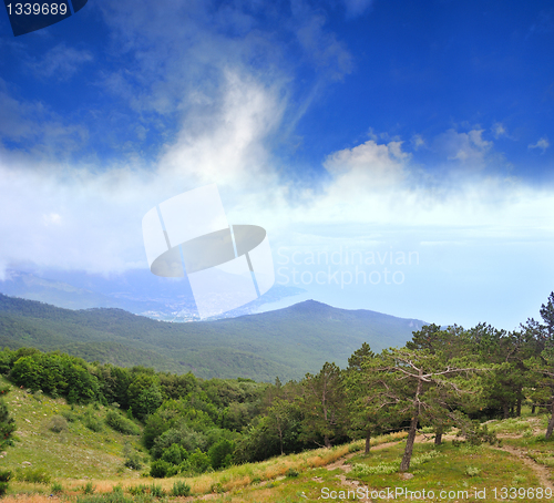 Image of path of the pioneer