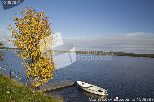 Image of Autumn landscape
