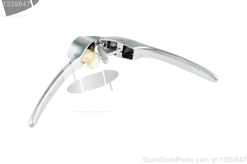 Image of Masher for garlic