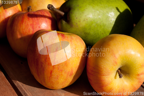 Image of Apples