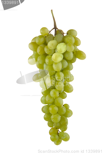 Image of grapes 