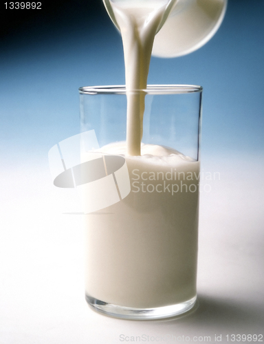 Image of Glass of milk                       