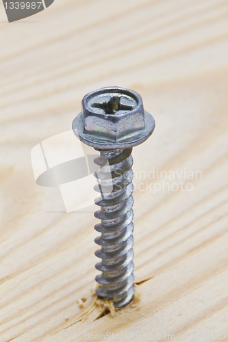 Image of screw on wood background