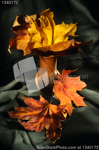 Image of Still life with autumn leaves
