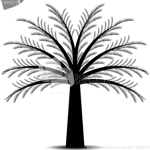 Image of Pine tree