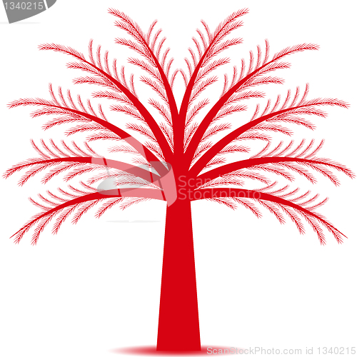 Image of Pine tree