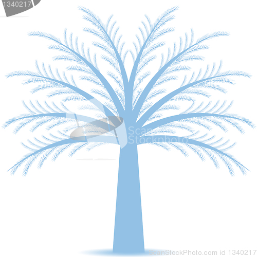 Image of Pine tree