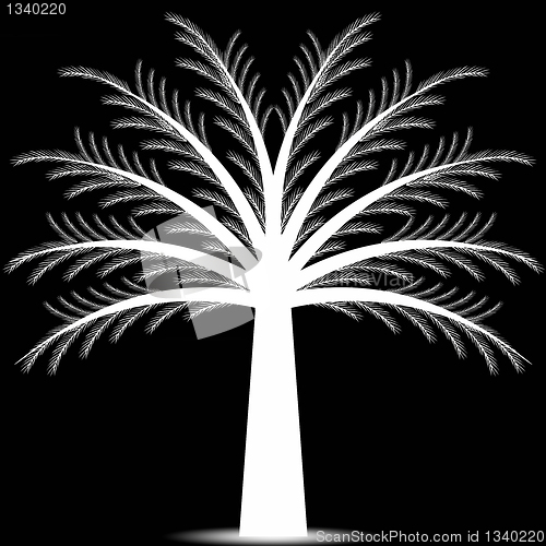 Image of Pine tree