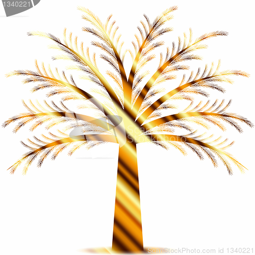 Image of Pine tree