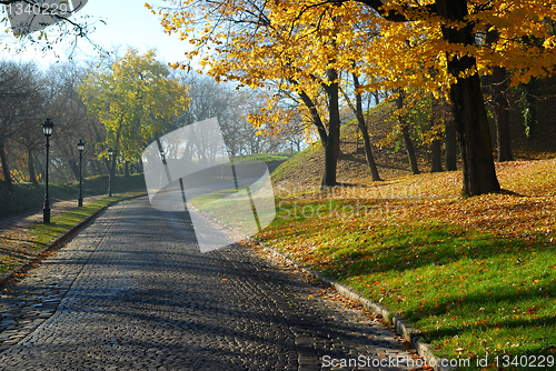 Image of Autumn morning