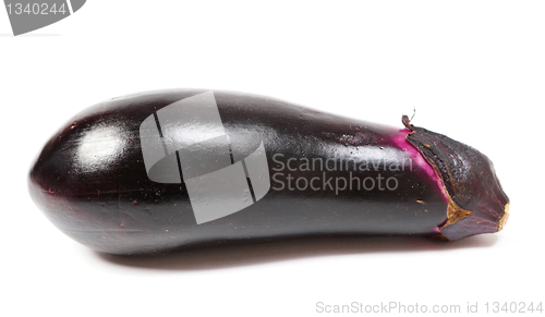 Image of egg plant