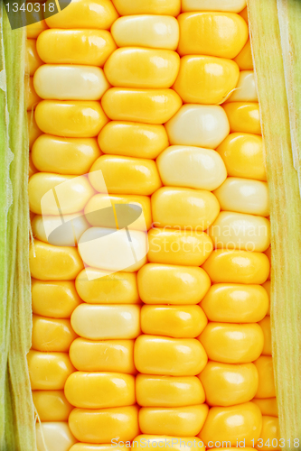 Image of corn close up