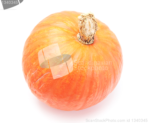 Image of pumpkin