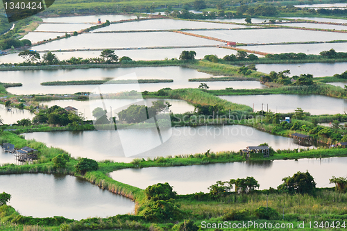 Image of Fish Hatchery Pond