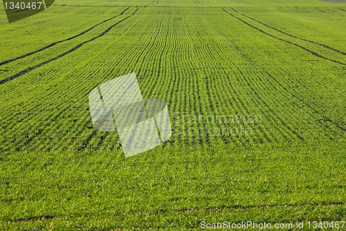 Image of Field