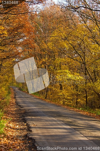 Image of Autumn Road