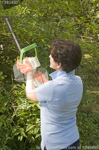 Image of suburban housewife trimming bushes with hedge trimmer tool