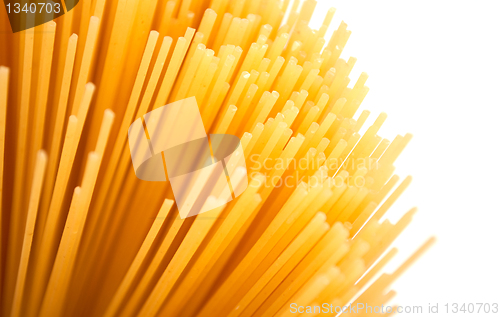 Image of Spaghetti