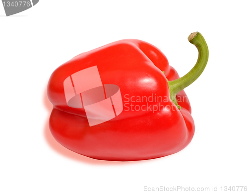 Image of One red sweet pepper on a white background