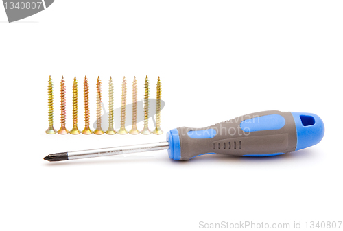 Image of Screwdriver and row of yellow screws