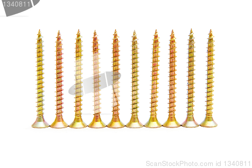 Image of Row of yellow screws