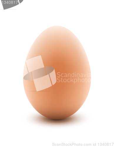 Image of Egg