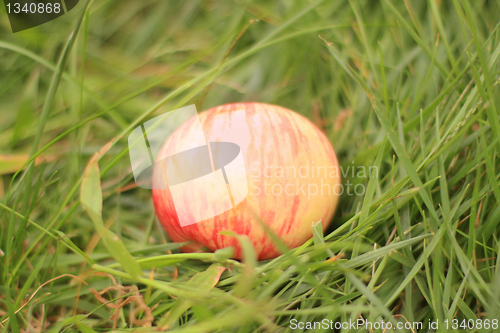 Image of Apple