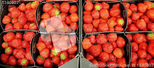 Image of red strawberries