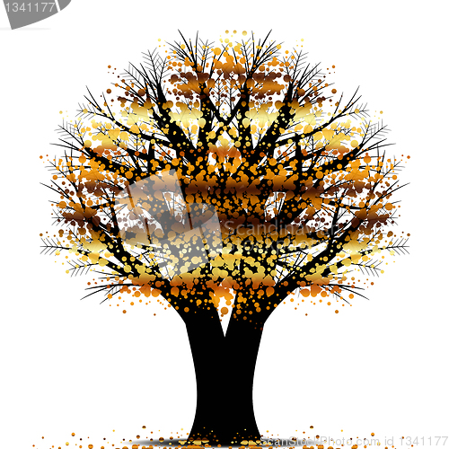 Image of Autumn tree