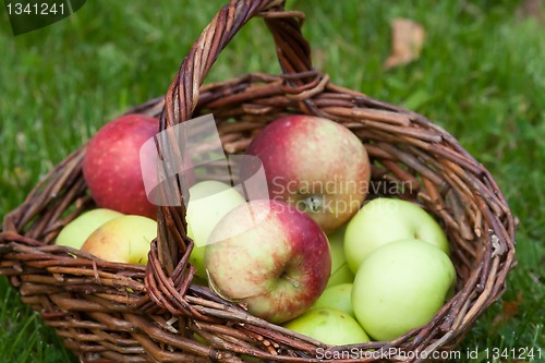 Image of apples