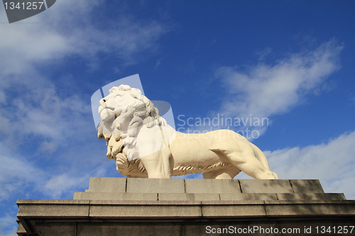 Image of sky lyon