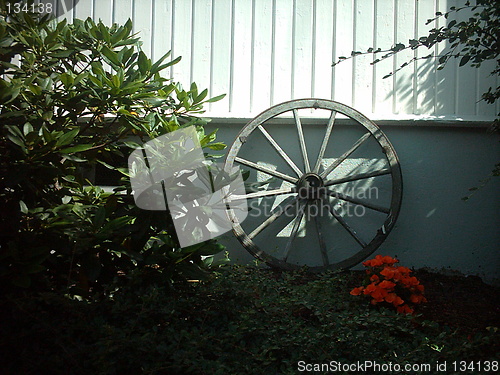 Image of Wheel