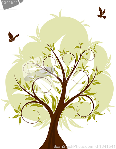 Image of Nature Background