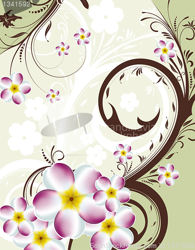 Image of Floral background