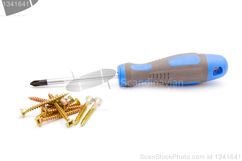 Image of Screwdriver and yellow screws 