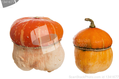 Image of Two decorative pumpkins, it is isolated on white